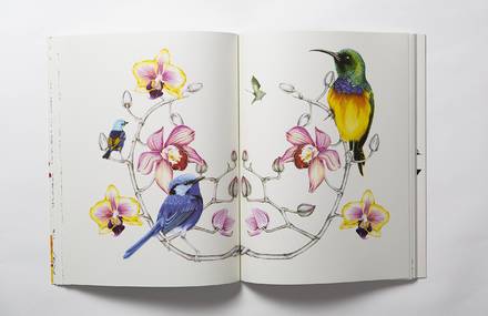 Whimsical Birds and Flowers Coloring Book