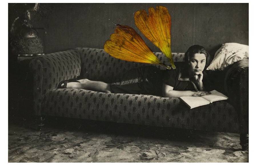 Vintage Pictures Collages Juxtaposed with Flowers