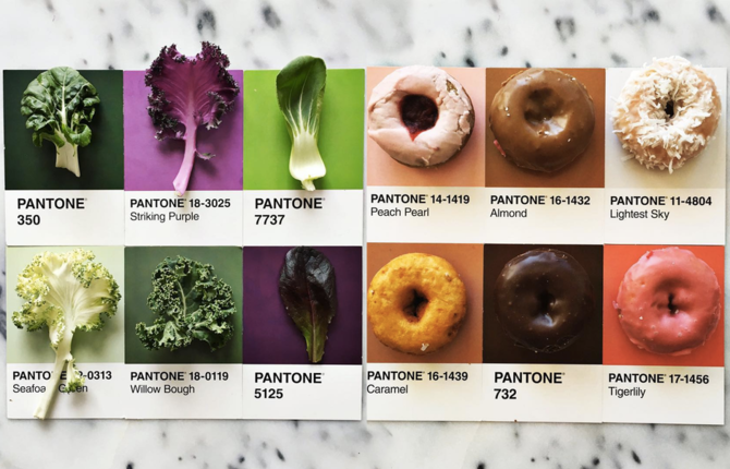 Gourmet and Colorful Pantone Food Series