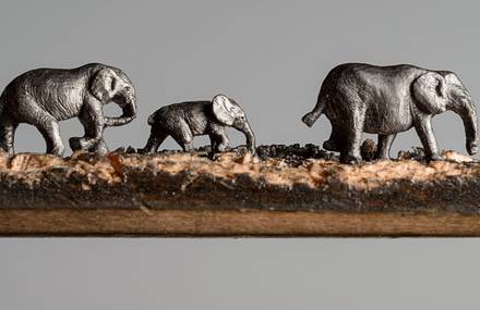 Accurate Pencil Sculptures of an Elephant Family