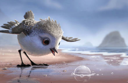First Images of Pixar’s Next Short Movie « Sandpiper »