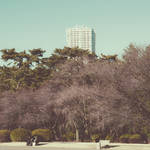 Captivating Landscapes Photography10