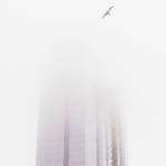 Captivating Landscapes Photography5