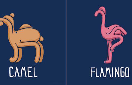 Comical Illustrations of Octopuses Pretending to Be Other Animals
