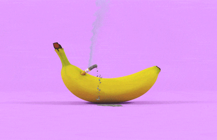 Hilarious and Surprising Bananas GIFs