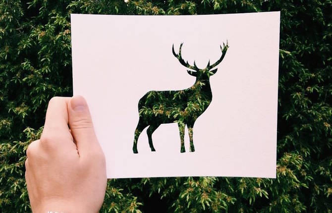 Animal Paper Silhouettes Juxtaposed with Nature