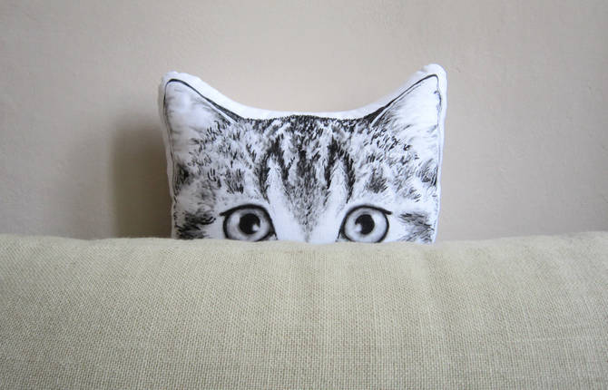 Cute Handpainted Animal Pillows
