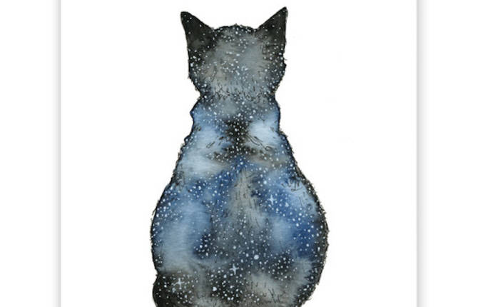Animal Illustrations Filled with a Starry Sky