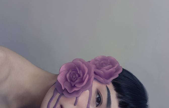 Roses Series by Brooke DiDonato