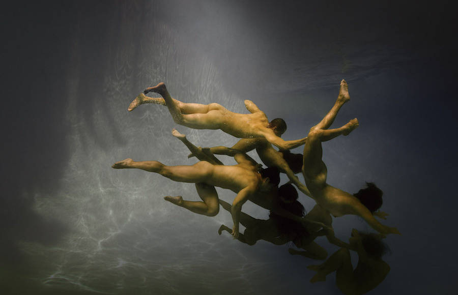 Mesmerizing Series of Floating Bodies in Water