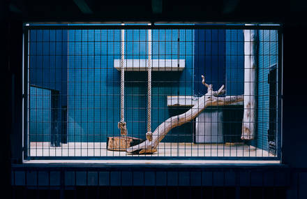 Conceptual Picture Series of Berlin Zoo Empty Animal Rooms