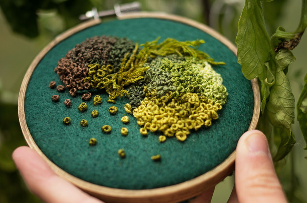 Moss Assemblages on Embroidery Hoops Media