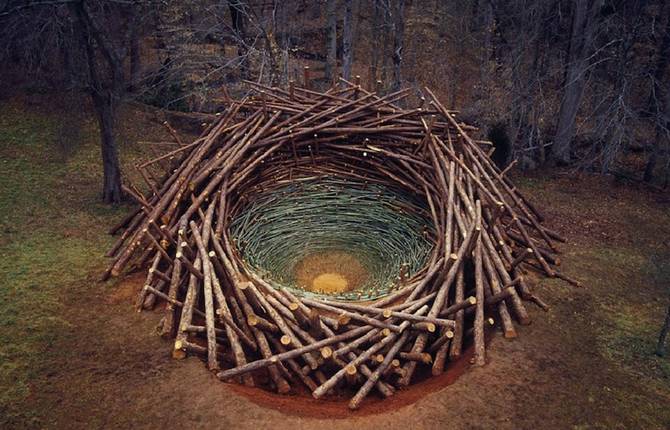 Nature Land Art Installations by Nils Udo