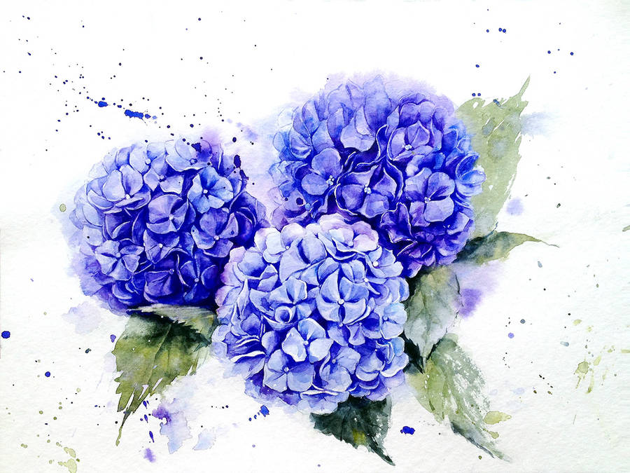 Watercolor Flower Paintings Painting Inspired