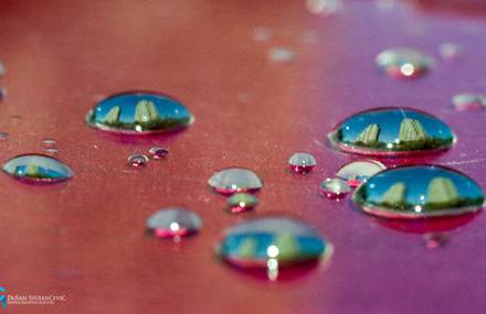 Famous Cities Seen Through Water Drops