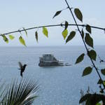 Gorgeous Pictures of the Dunbar Rock Villa in the Caribbean10