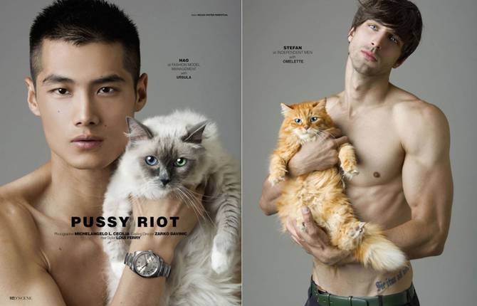 Irresistible Photoshoot with Male Models and Cats