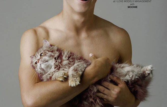 Irresistible Photoshoot with Male Models and Cats