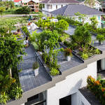 OriginalRooftop11