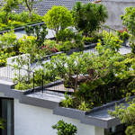 OriginalRooftop3