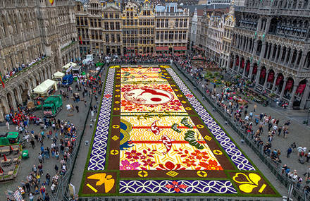 Impressive Flower Carpet Made of 600 000 Blooms in Brussels