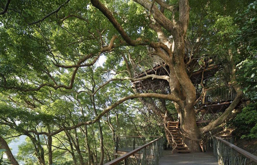 Tea Room Tree House in Japan