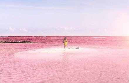 Amazing Pink Lagoon in Mexico