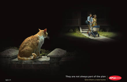 SPA New Touching Prints Campaign Showing Abandoned Animals