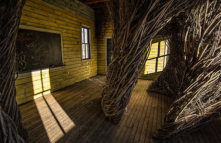Impressive Houses Made with Living Trees