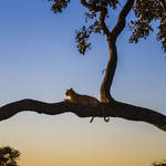 National Geographic Nature Photographer of the Year 2016 Contest-26