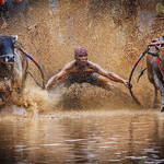 National Geographic Nature Photographer of the Year 2016 Contest-27