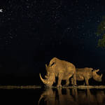 National Geographic Nature Photographer of the Year 2016 Contest-3