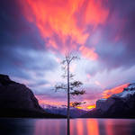 National Geographic Nature Photographer of the Year 2016 Contest-7
