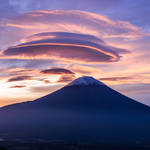 National Geographic Nature Photographer of the Year 2016 Contest-9