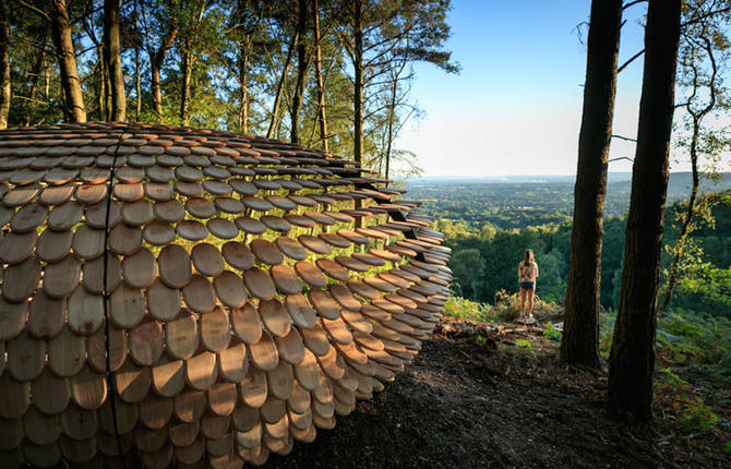 Sculptural Cedar Installation in the Middle of Nature