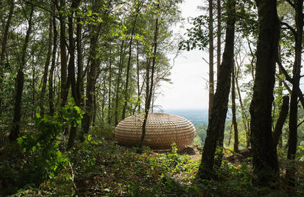 Sculptural Cedar Installation in the Middle of Nature