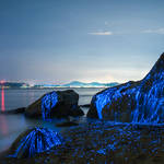 blueshrimp0