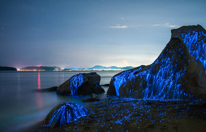 Poetic Pictures of Blue Light in Japan