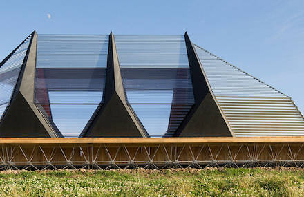 Polygonal Pavilion in Netherlands by Frank Havermans