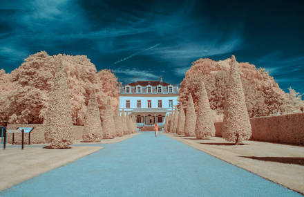 Infrared Nature Photography