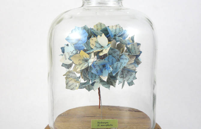 Fungi and Floral Sculptures made from Recycled Paper