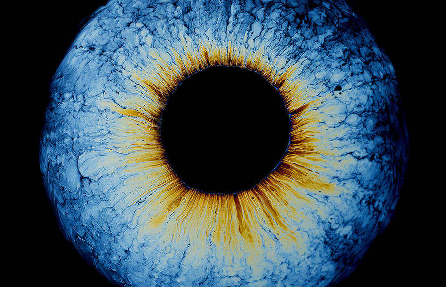 Fascinating Oil Exploration of Iridescence