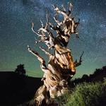 Breathtaking Travel Photographs by Travis Burke-14