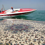 Unexpected Photographs with Persian Carpets-14