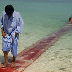 Unexpected Photographs with Persian Carpets-15