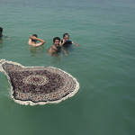 Unexpected Photographs with Persian Carpets-16