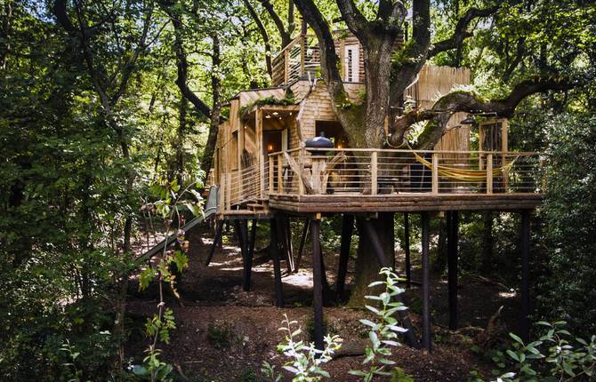 Cosy and Luxury Treehouse in England
