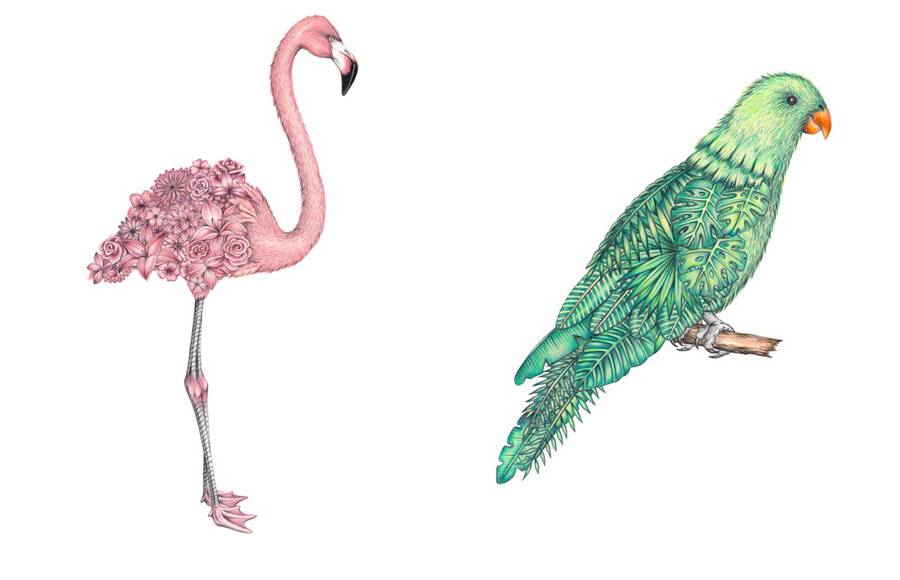 Surreal Hand-Drawn Animal Illustrations by Chloé Mickham