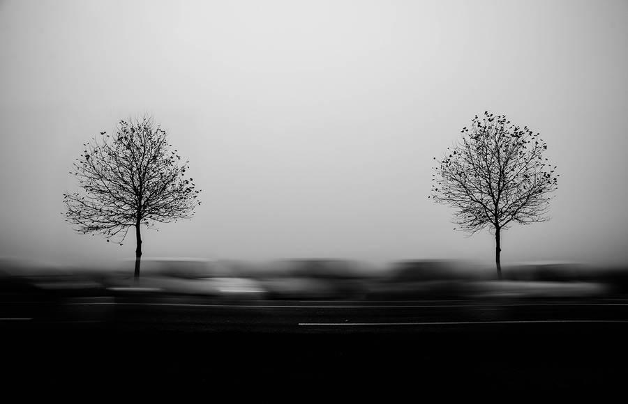 Foggy Black and White Landscapes