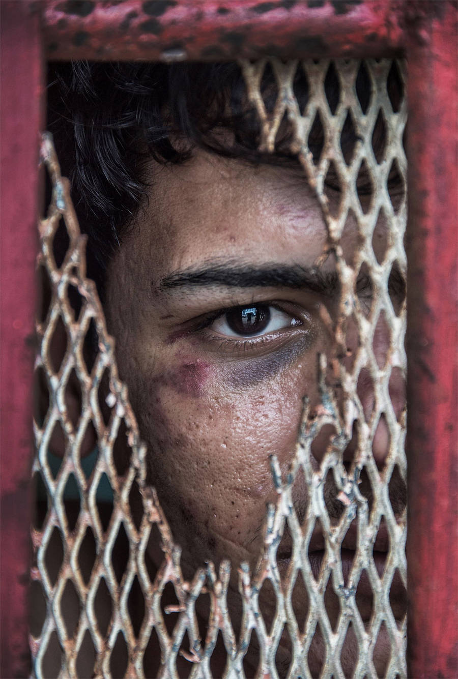 nikon-walkley awards2